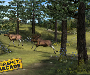 Top Shot Arcade Files