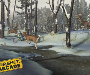 Top Shot Arcade Screenshots