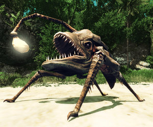 Risen 2: Dark Waters Videos