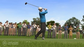 Tiger Woods PGA Tour 12: The Masters Screenshot from Shacknews