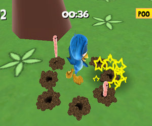Play with Birds Files