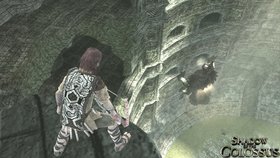 ICO and Shadow of the Colossus Collection Screenshot from Shacknews