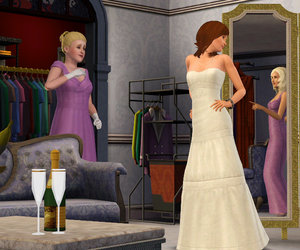 The Sims 3 Ambitions Files