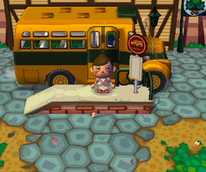 Animal Crossing: City Folk Files