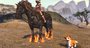 Rift introducing PvP 'Conquest' mode