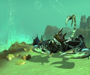 Rift Videos
