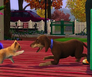The Sims 3 Pets Files