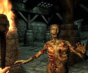 The Elder Scrolls IV: Oblivion 5th Anniversary Edition Screenshots