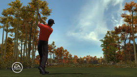 Tiger Woods PGA Tour 08 Screenshot from Shacknews