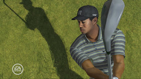 Tiger Woods PGA Tour 08 Screenshot from Shacknews
