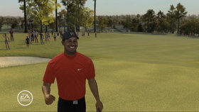 Tiger Woods PGA Tour 08 Screenshot from Shacknews