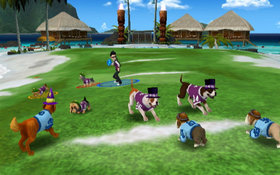 Jerry Rice & Nitus' Dog Football Screenshot from Shacknews