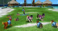 Jerry Rice and Nitus' Dog Football Wii screenshots