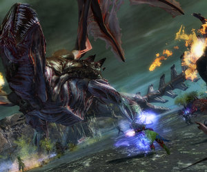 Guild Wars 2 Files