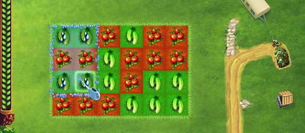 Little Farm News