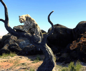 Cabela's Big Game Hunter 2012 Files