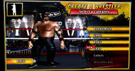Hulk Hogan's Main Event screenshots