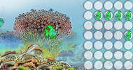 Fish Tank screenshots