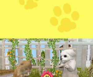 Petz Puppyz & Kittenz Screenshots