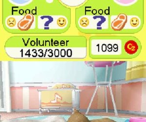Petz Puppyz & Kittenz Files
