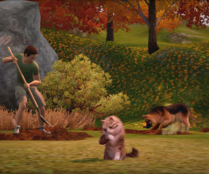 The Sims 3 Pets Chat