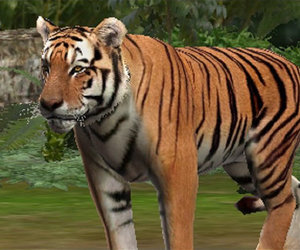 Zoo Resort Chat