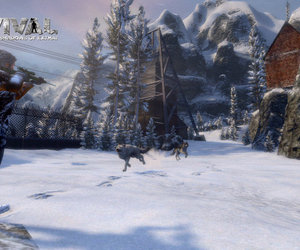 Cabela's Survival: Shadows of Katmai Screenshots