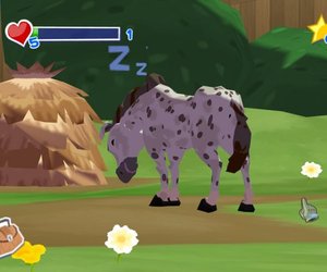 World of Zoo Videos