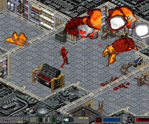 Crusader: No Regret Videos