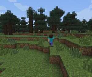 Minecraft Screenshots