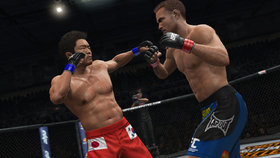 UFC Undisputed 3 Screenshot from Shacknews