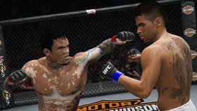 UFC Undisputed 3 Screenshot from Shacknews