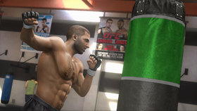 UFC Undisputed 3 Screenshot from Shacknews