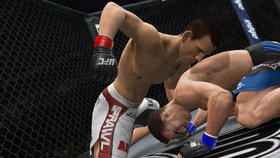UFC Undisputed 3 Screenshot from Shacknews