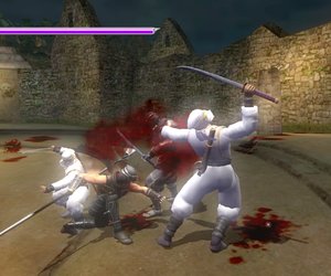 Ninja Gaiden Sigma Screenshots