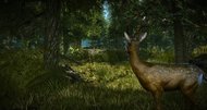 The Witcher 2: Assassins of Kings Enhanced Edition screenshots
