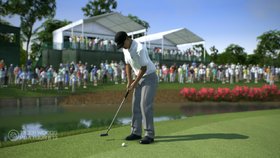 Tiger Woods PGA Tour 13 Screenshot from Shacknews