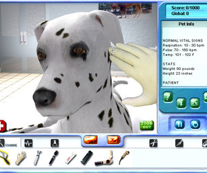 Pet Pals: Animal Doctor Files