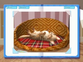 Catz 2 Screenshot from Shacknews