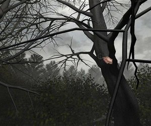 Scratches: Directors Cut Videos