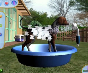 Pet Pals: Animal Doctor Chat