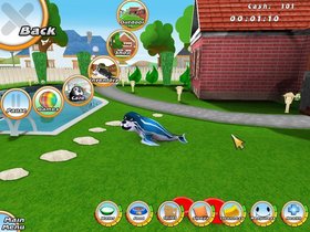 Aquapets: 101 Seal Pets Screenshot from Shacknews