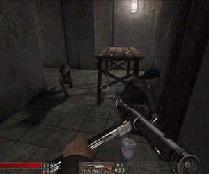 The Stalin Subway Videos