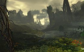 Guild Wars 2 Digital Deluxe Edition Screenshot from Shacknews