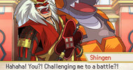 Pokemon Conquest announcement screenshots