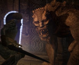 Dragon's Dogma Files