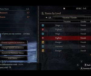 Dragon's Dogma Chat