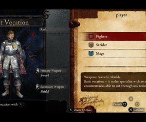 Dragon's Dogma Chat