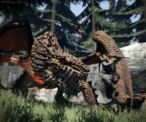 Dragon's Dogma Files
