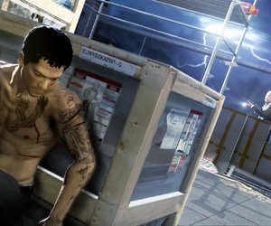 Sleeping Dogs Files